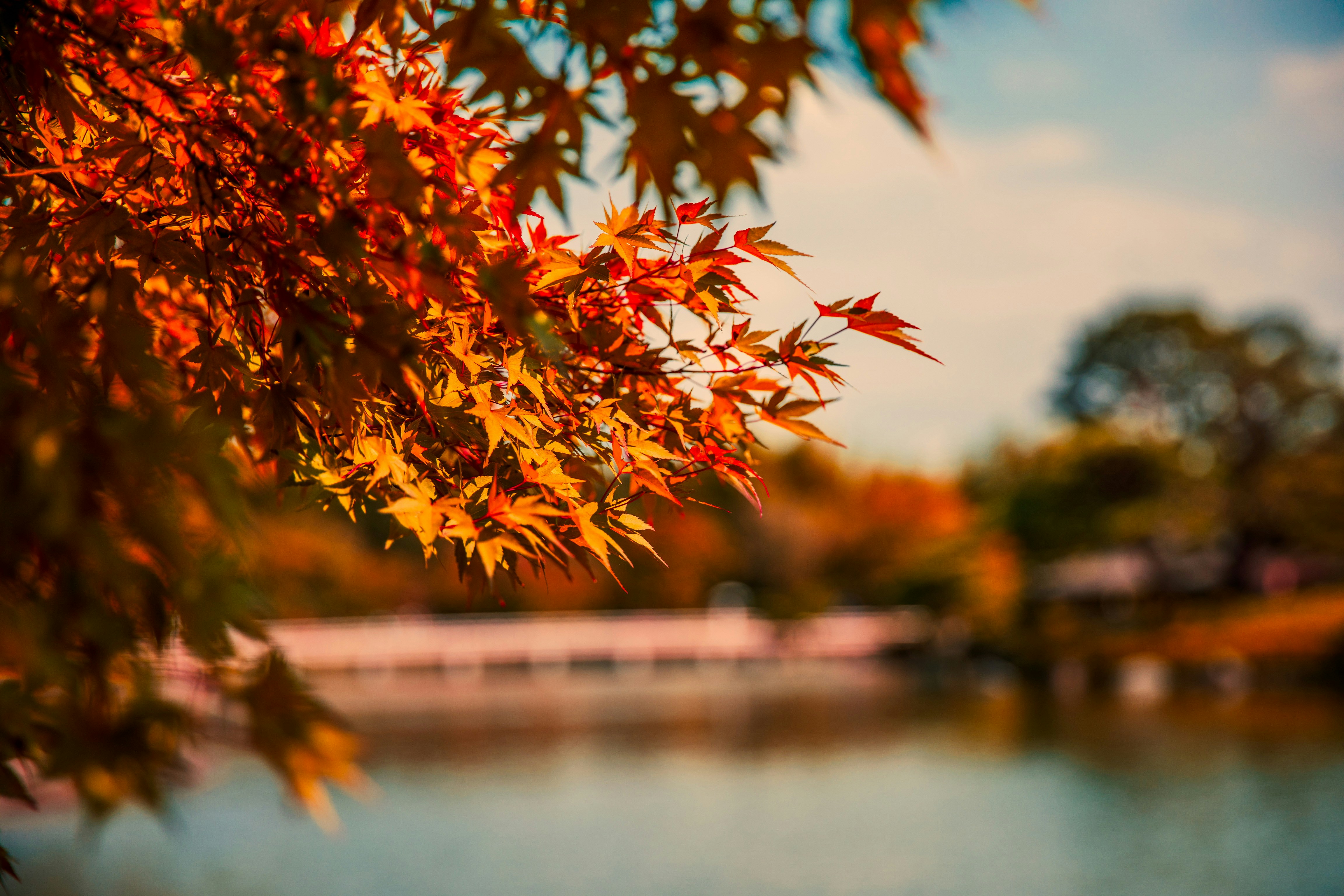 Fall