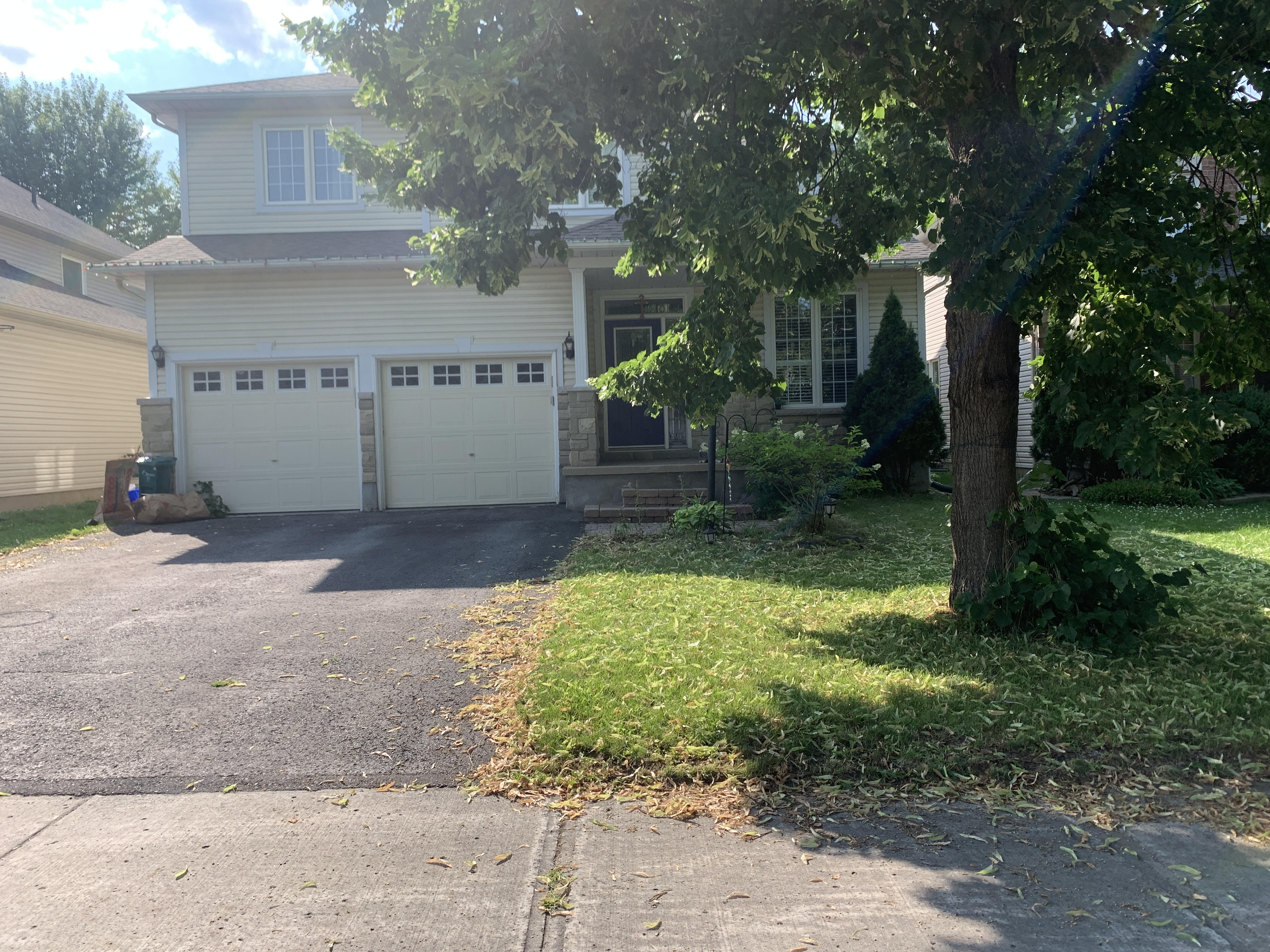 General Lawn Care