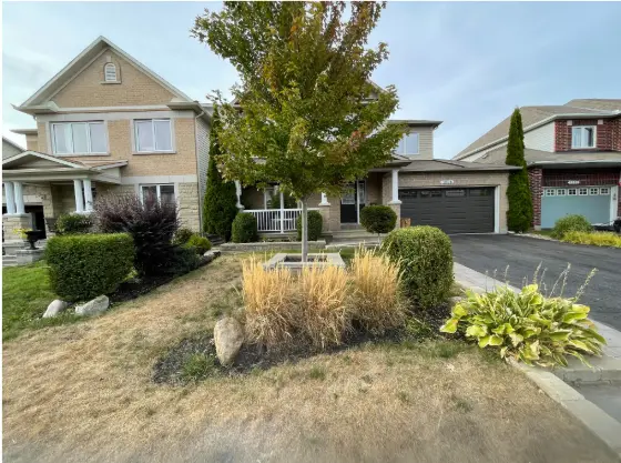 Drought-stressed East Ottawa front yard showing uneven turf colour and mowing conditions