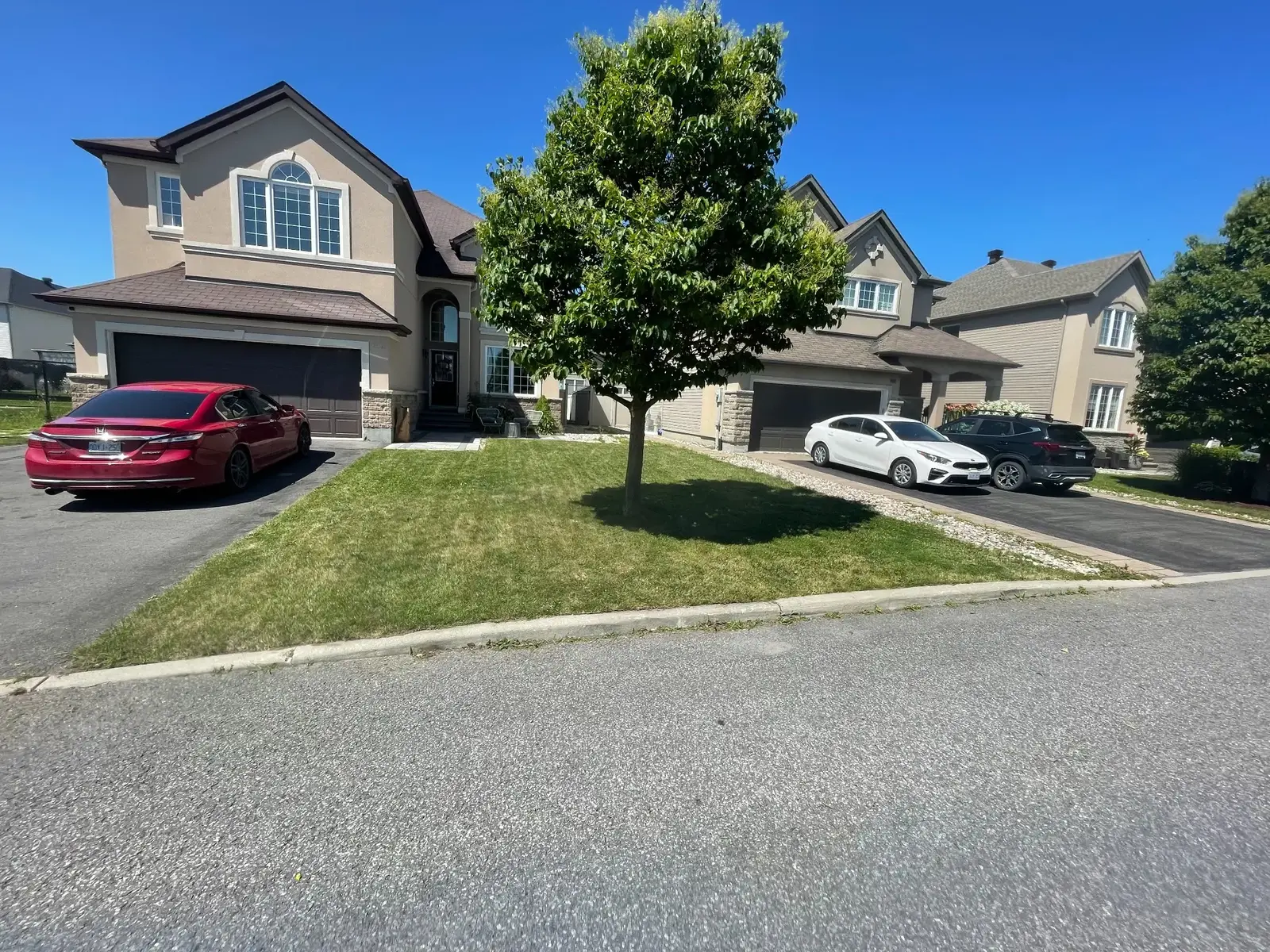 Dry and heat-stressed front lawn showing when Ottawa turf needs attention
