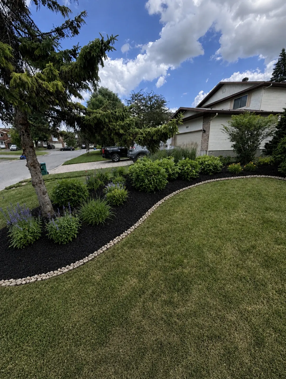 Low-maintenance East Ottawa front garden with black mulch, curved river-rock edging and established planting